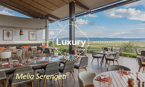 Melia Serengeti luxury tent - Central Serengeti