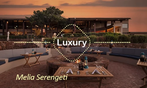 Serengeti luxury safari travel Tanzania