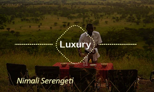 Nimali Serengeti luxury camp Tanzania