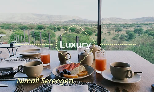 Serengeti luxury safari travel Tanzania