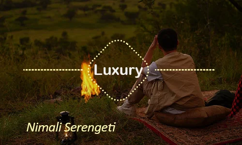 Serengeti luxury safari travel Tanzania