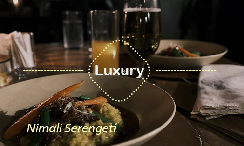 Nimali Serengeti - intimate safari experience