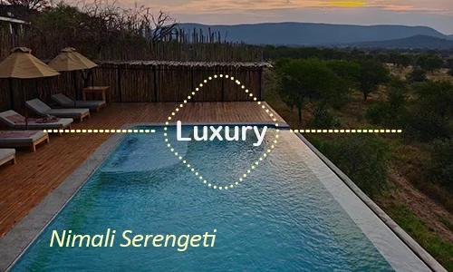 Nimali Serengeti - private guiding