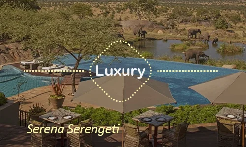 Serena Serengeti luxury - Day 10