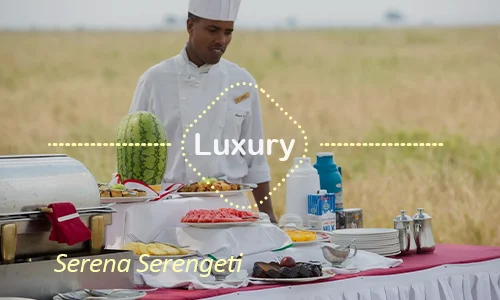 Serena Serengeti luxury lodge - Panoramic views