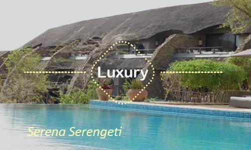 Serena Serengeti luxury - Day 8
