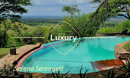 Serena Serengeti family suites and grounds