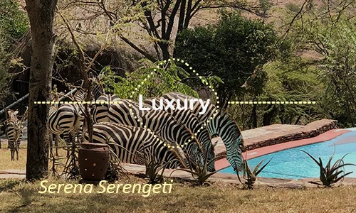 Serena Serengeti terraces - Romantic family stay