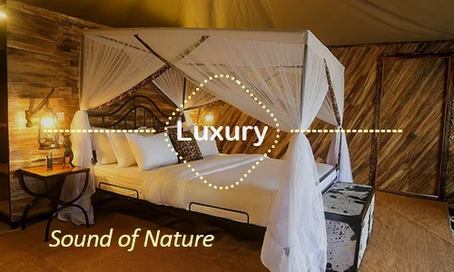 Sound Of Nature Serengeti family camp Tanzania