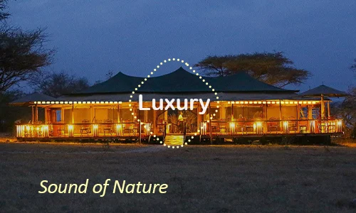 Sound of Nature Serengeti - Family Wilderness Retreat