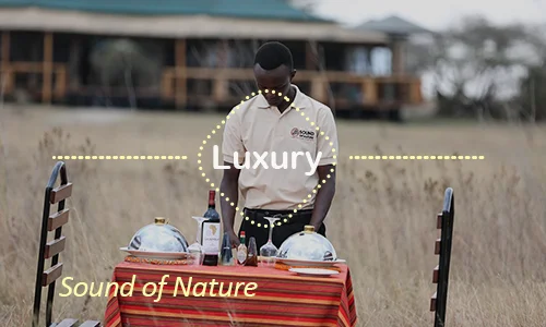 Sound of Nature Serengeti - Luxury Wilderness Experience