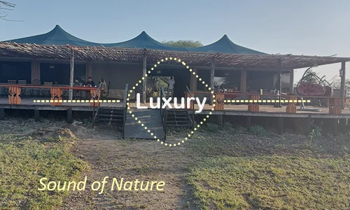 Sound of Nature Serengeti luxury camp - Central Serengeti