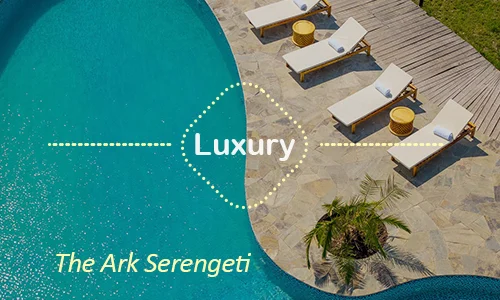 The Ark Serengeti luxury lodge Tanzania