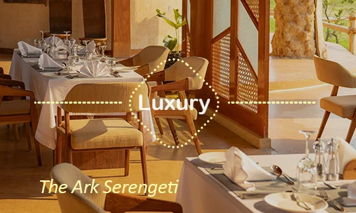 The Ark Serengeti luxury lodge Tanzania