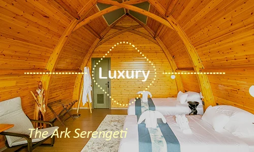 The Ark Serengeti luxury - Day 10