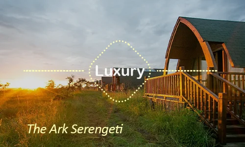 The Ark Serengeti luxury lodge