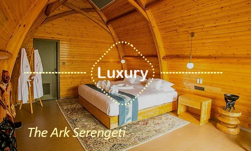 The Ark Serengeti luxury suites - Western sunset