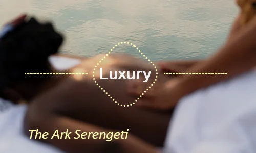 The Ark Serengeti luxury - Day 9