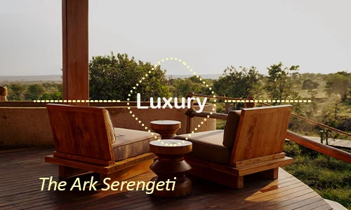 The Ark Serengeti - elevated design