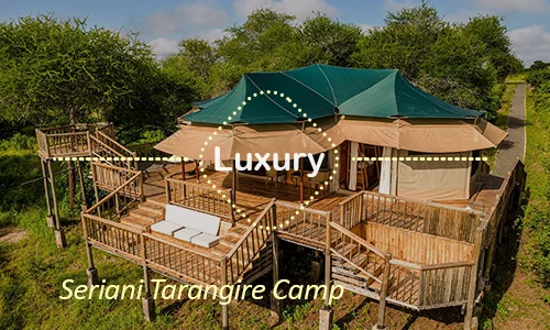 Tarangire luxury safari travel Tanzania