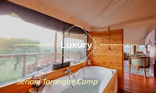 Seriani Tarangire Camp luxury - Day 4