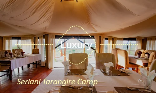 Seriani Tarangire Camp family dining