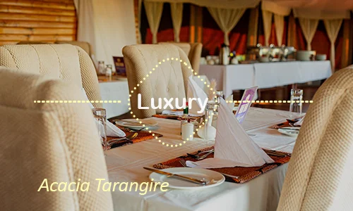 Acacia Tarangire lodge romantic terrace
