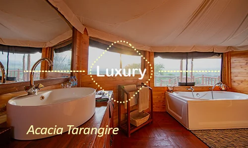 Tarangire luxury safari travel Tanzania