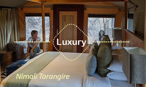 Tarangire luxury safari travel Tanzania