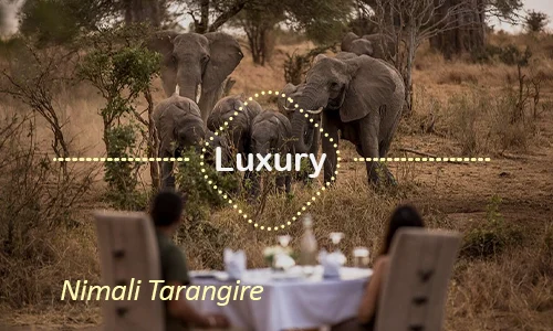 Nimali Tarangire luxury lodge - Tarangire game viewing