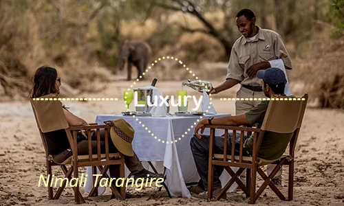 Nimali Tarangire - Private Luxury Camp