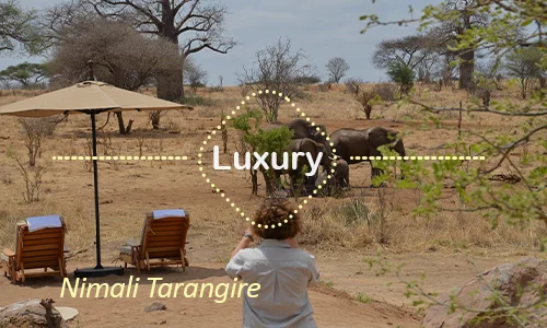 Nimali Tarangire luxury family tent