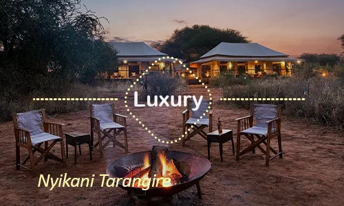Nyikani Tarangire - Exclusive Safari Camp Tarangire