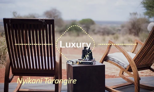 Tarangire luxury safari travel Tanzania