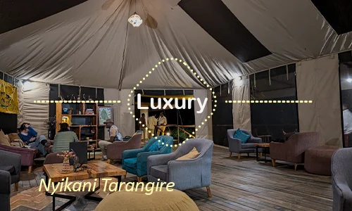 Nyikani Tarangire secluded camp - Intimate luxury