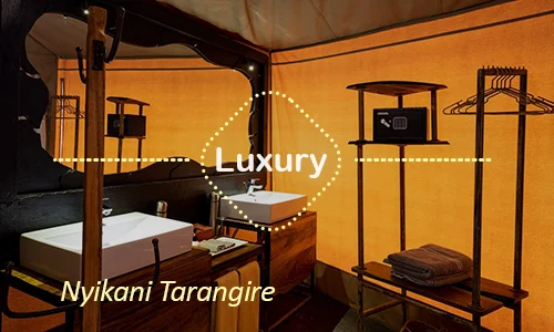 Nyikani Tarangire luxury tented camp - Tarangire