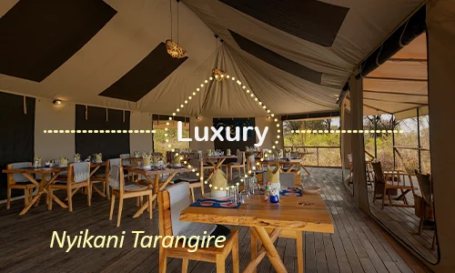 Nyikani Tarangire - Premium Safari Tent