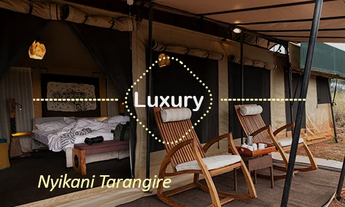 Nyikani Tarangire secluded camp - Intimate luxury