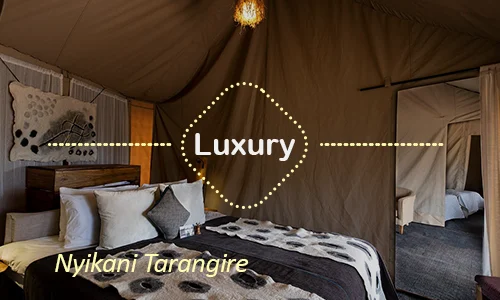 Tarangire luxury safari travel Tanzania