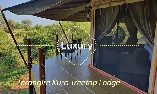 Kuro Treetop Lodge - unique treehouse suites