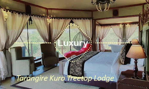 Tarangire Kuro Treetop Lodge - Treetop Luxury Suite