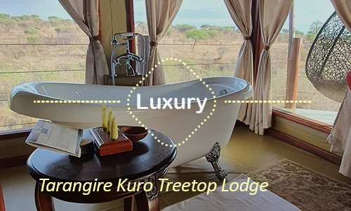 Tarangire Kuro Treetop Lodge luxury treetop suite