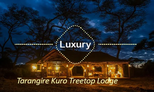 Tarangire Kuro Treetop Lodge luxury treetop suite