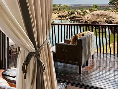 Four Seasons Safari Lodge Serengeti infinity pool and waterhole, ideal for private luxury safari Tanzania