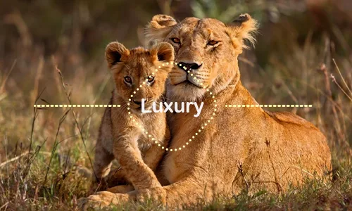 10 Days Treasures of Luxury Safari Tanzania & Zanzibar - Serengeti, Ngorongoro, Tarangire