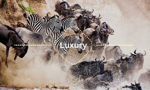 8 Days Wildebeest Migration Luxury Safari