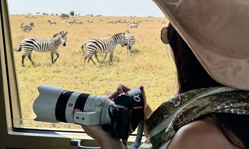 Blog - Wildlife Photography