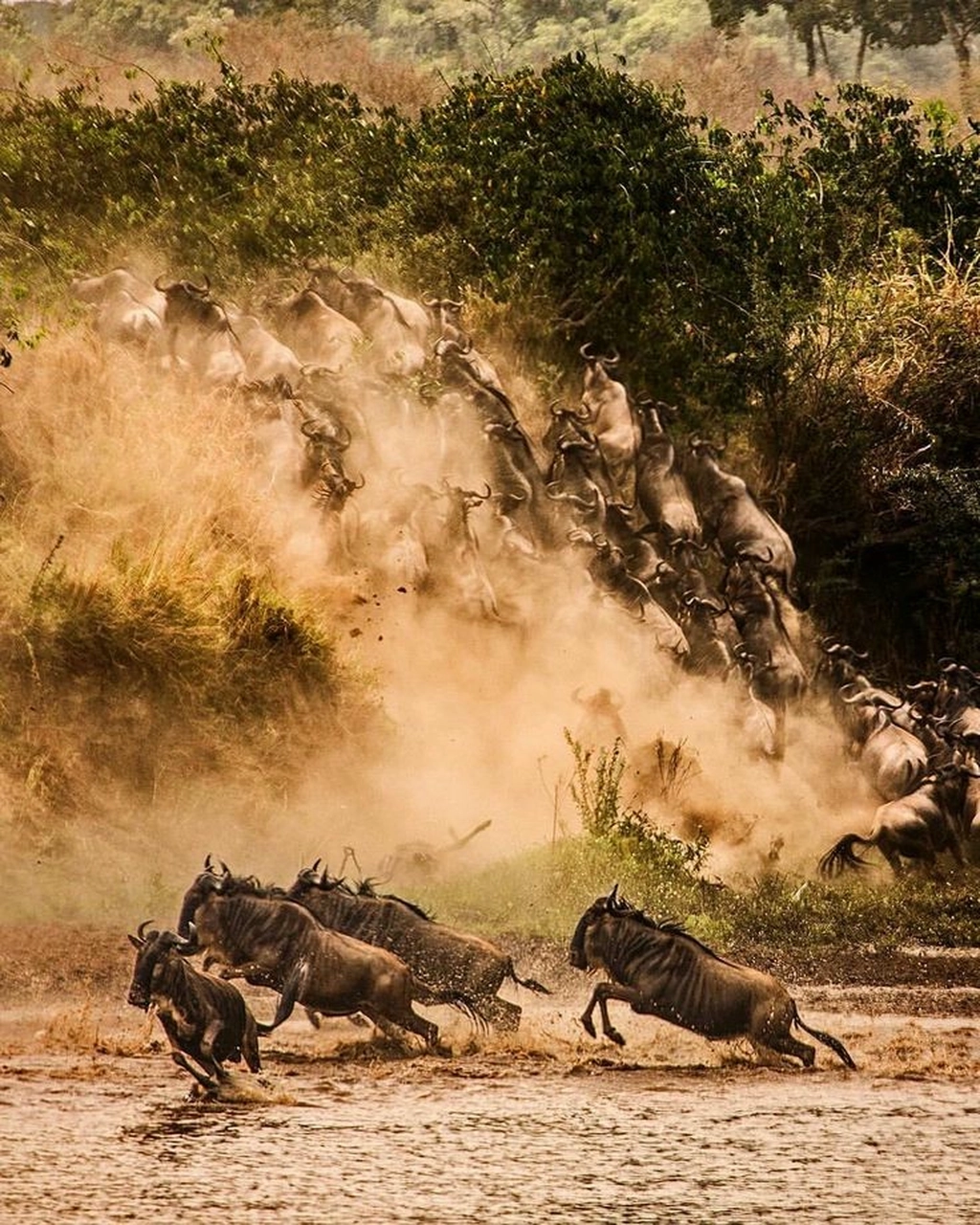 5-Day Luxury Tanzania Private Safari for $4500 | Serengeti Migration 2026