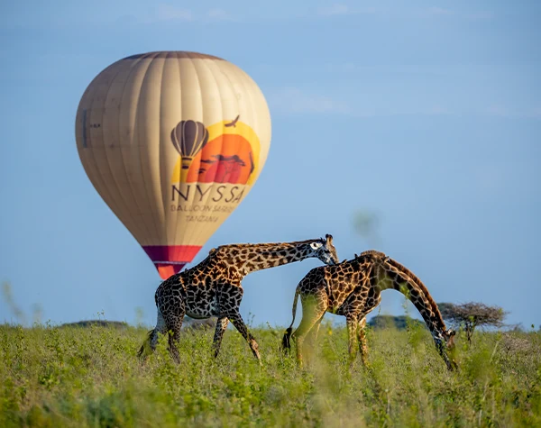 Luxury Serengeti safari lodge experience
