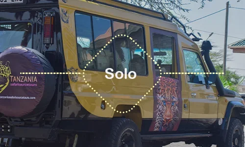 Luxury Private Safari in Tanzania